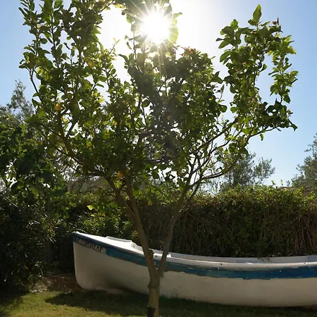 Perivoli Seaview Cottage, A Rural Bliss Of Nature, By Thinkvilla Vilă